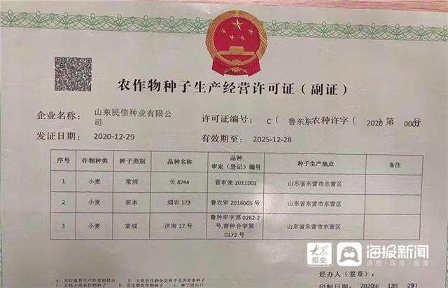 東營區核發首張農作物種子生產經營許可證 規范種業市場，護航農業生產