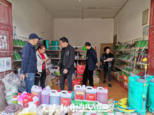 畢節大方 農資打假護春耕，促種業安全發展展新篇
