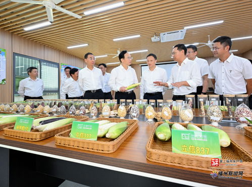 務實推進·賦能振興 全市“千萬工程”經驗學習暨黨建引領“五大工程”現場推進與農作物種子生產實踐路徑解析