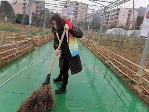 清園護種踐初心，青春獻禮黨代會——作物種業研究生黨支部聯合生物種業研究會清潔農作園主題黨日活動紀實