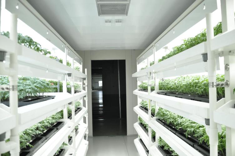 沈陽秋實(shí):"植物工廠"引領(lǐng)農(nóng)業(yè)未來